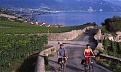 Велосипедный маршрут №1«Винная дорога»(Rhone Wine Route)